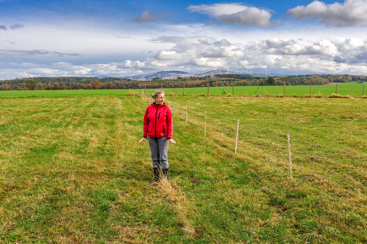 Oldřichov na Hranicích, 2019