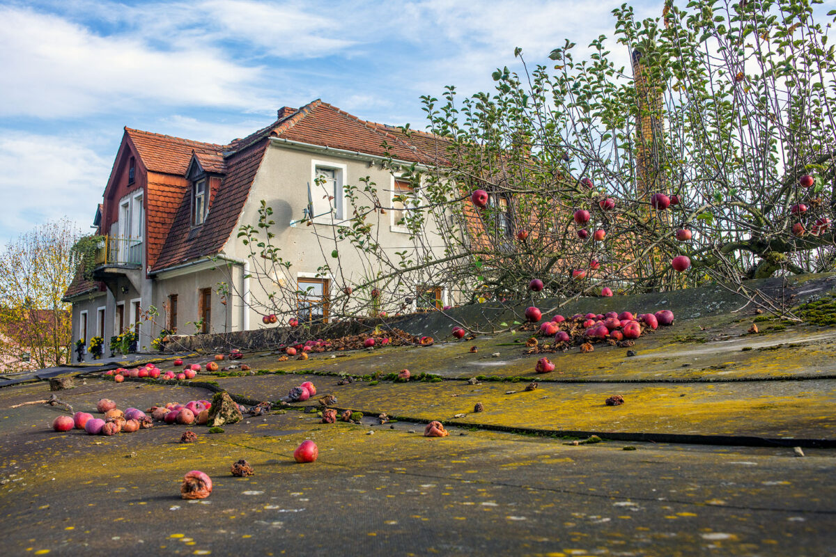 Opolno-Zdrój, 2022